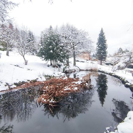 Le Manoir Au Lac Gérardmer Dış mekan fotoğraf