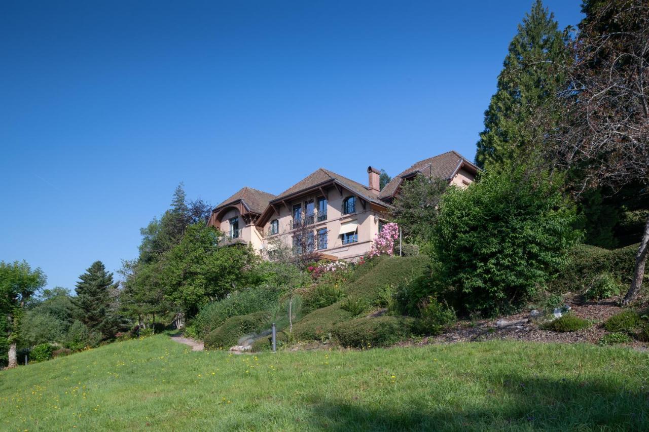 Le Manoir Au Lac Gérardmer Dış mekan fotoğraf