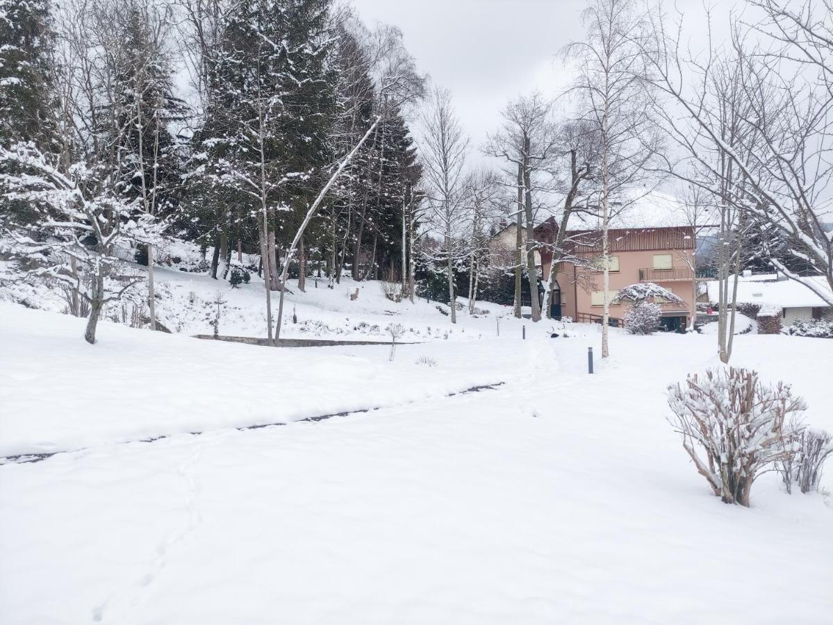 Le Manoir Au Lac Gérardmer Dış mekan fotoğraf