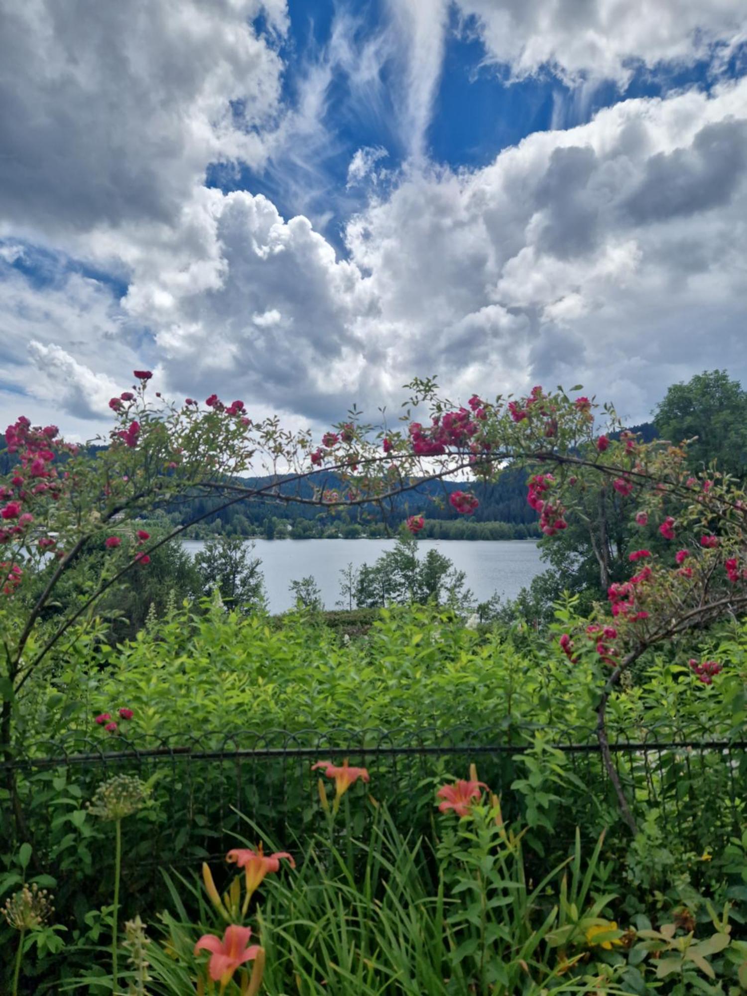 Le Manoir Au Lac Gérardmer Dış mekan fotoğraf