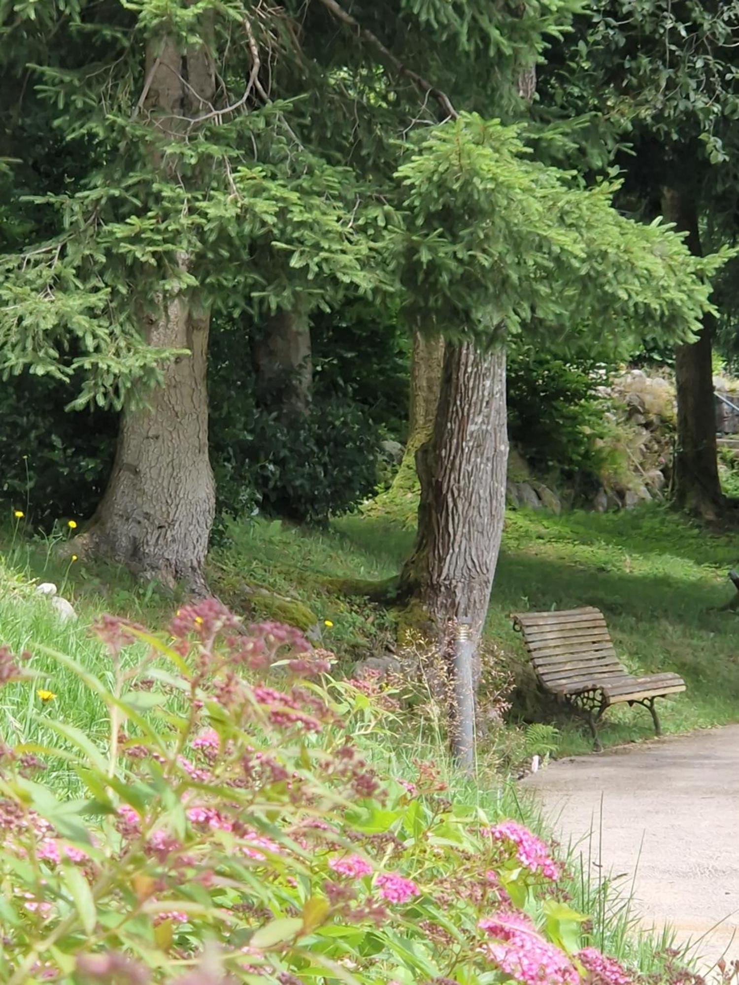 Le Manoir Au Lac Gérardmer Dış mekan fotoğraf